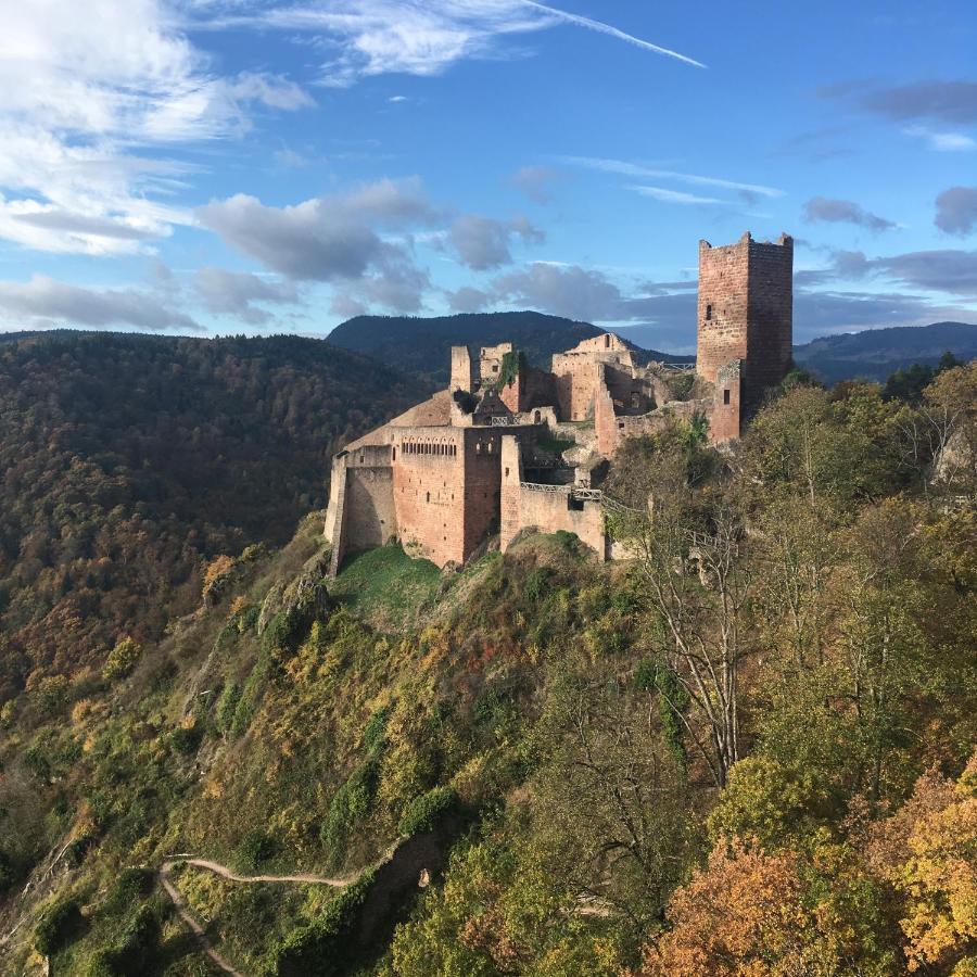 Le Gite Du Moulin Ribeauvillé Buitenkant foto